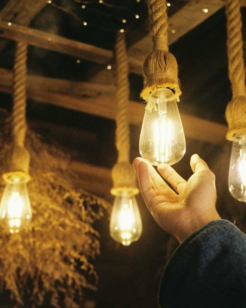Electricals & Lights